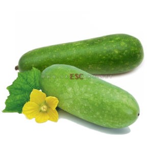 Moa Gua (2 Count) 毛瓜(2个)