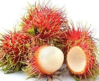 Rambutan  红毛丹 1.4 - 1.6 LB