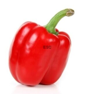 Red Bell Pepper (2 Count) 红椒 (2 个)