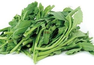 Yu Choy Jr (1.8-2LB)  油菜苗 (1.8-2磅)