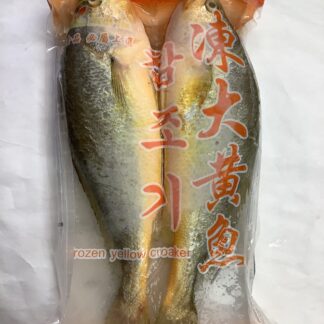 Frozen Yellow Croaker 冻大黄花鱼