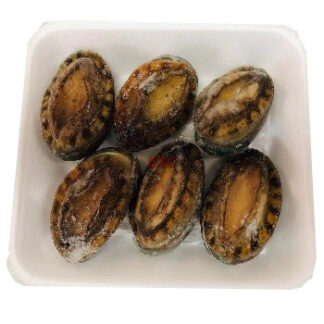 Frozen Abalone (6 Count) 冷冻鲍鱼 (6只)