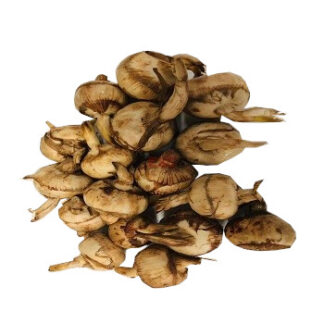 Arrow Head（1.8-2lb)  茨菇