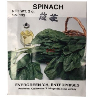 Seed Spinach (No. 132) 种子 菠菜