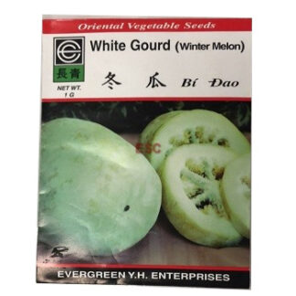Seed White Gourd (Winter Melon) 种子 冬瓜