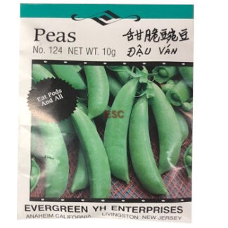 Seed Pea (No. 124) 种子 甜脆豌豆