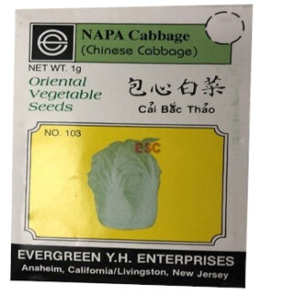 Seed Napa Cabbage (Chinese Cabbage) (No.103) 种子 包心白菜