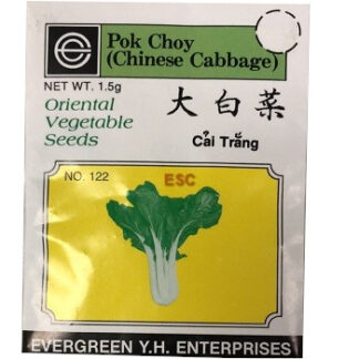 Seed Pok Choy (No. 122) 种子 大白菜