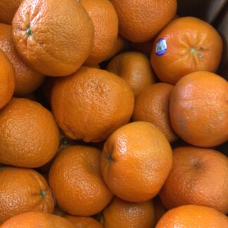 Honey mandarin 蜜桔2Lb