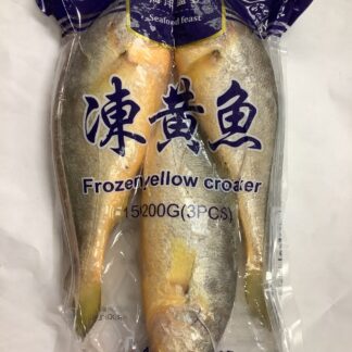 Frozen yellow croaker 凍黄魚