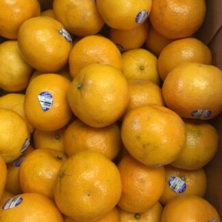 Wow citrus sweet & juicy 甜如蜜柑